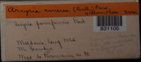 Image Associated With the Occurrence